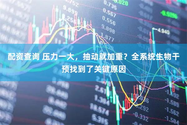 配资查询 压力一大，抽动就加重？全系统生物干预找到了关键原因