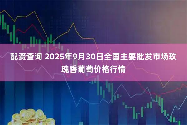 配资查询 2025年9月30日全国主要批发市场玫瑰香葡萄价格行情